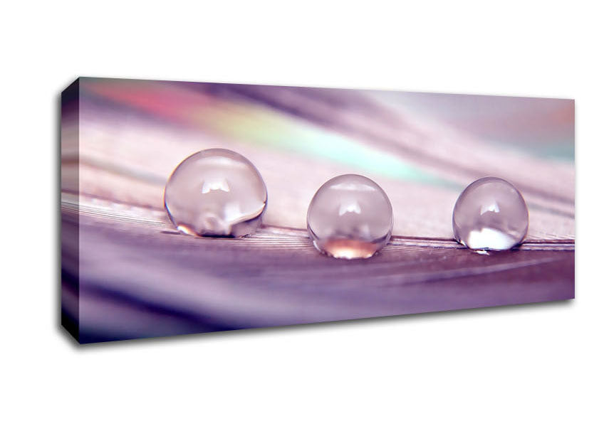 Picture of Three Water Drops Panoramic Canvas Wall Art