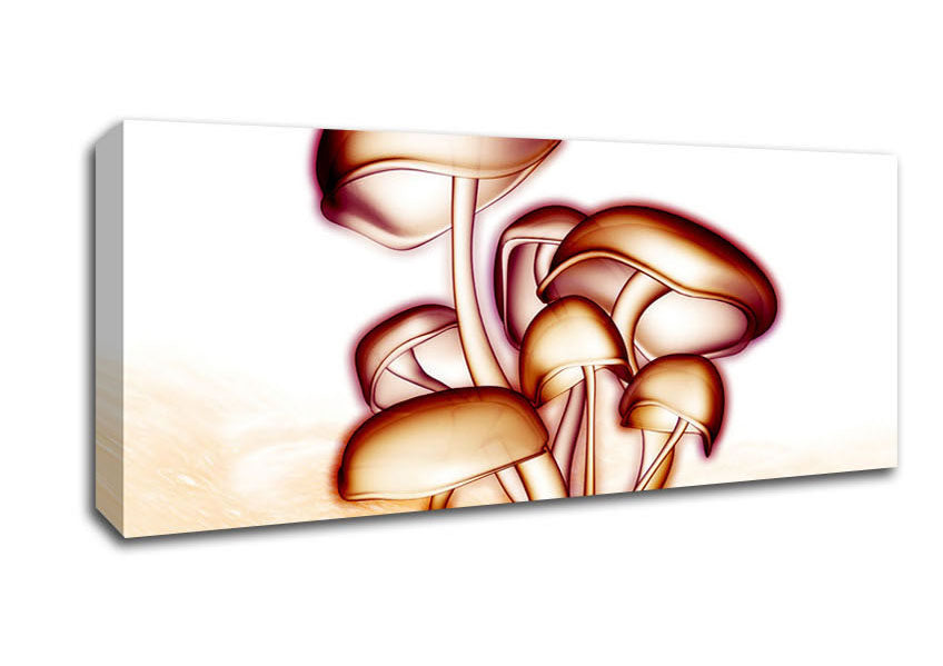 Picture of Toad Stool Panoramic Canvas Wall Art