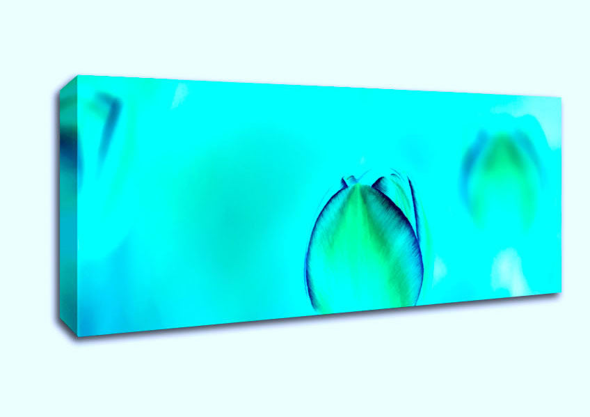 Picture of Turquoise Tulip Panoramic Canvas Wall Art