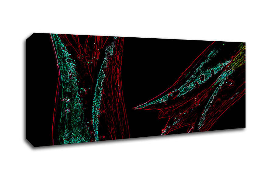 Picture of Twin Flowers Panoramic Canvas Wall Art