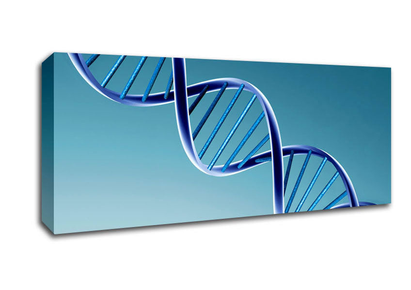Picture of Twin Helix Panoramic Canvas Wall Art