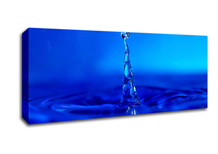 Picture of Water Drop Attention Panoramic Canvas Wall Art