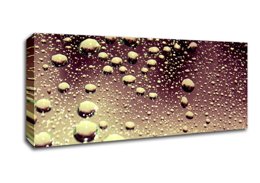 Picture of Wet Surface Panoramic Canvas Wall Art
