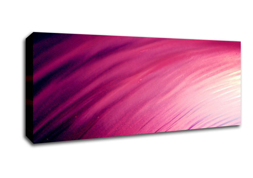 Picture of Whirlwind Of Pink Panoramic Canvas Wall Art