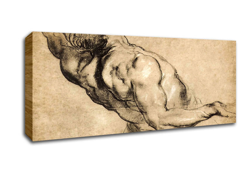 Picture of Rubens Study Of Mans Torso Panoramic Canvas Wall Art