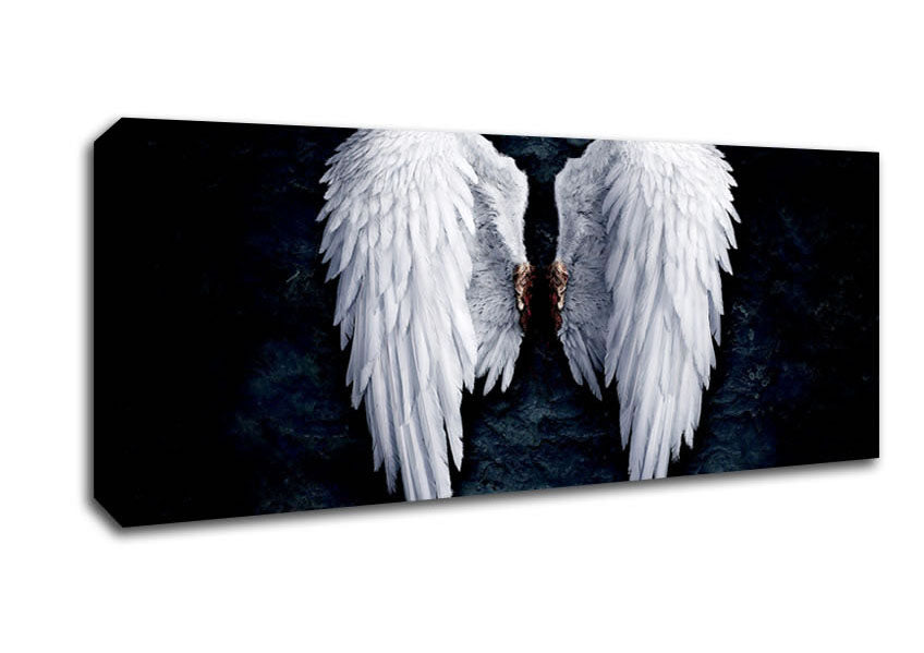 Picture of Angel Wings Panoramic Canvas Wall Art