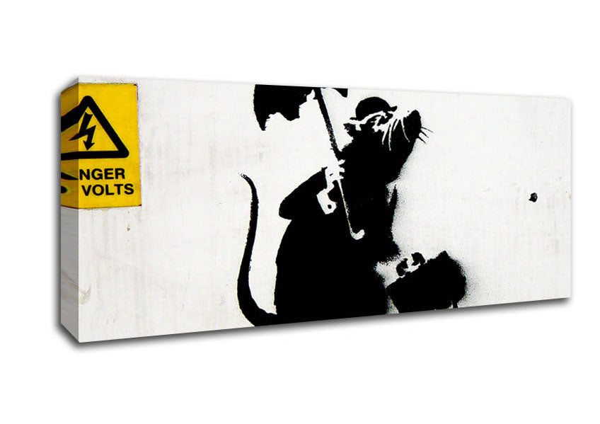 Picture of Rat Box Panoramic Canvas Wall Art