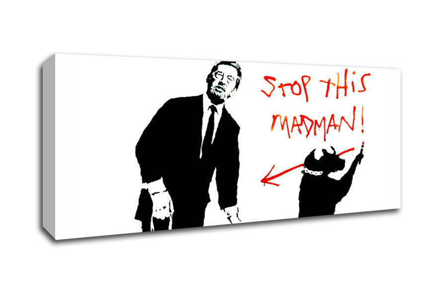 Picture of Stop This Madman Panoramic Canvas Wall Art