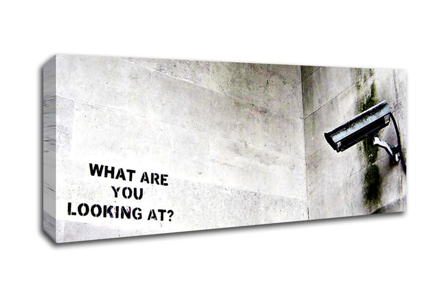 Picture of What Are You Looking At Panoramic Canvas Wall Art