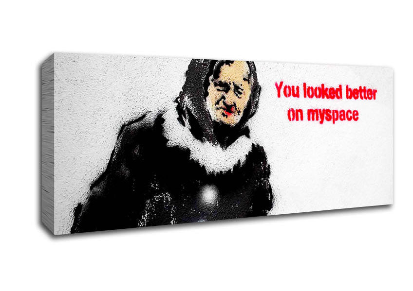Picture of You Looked Better On Myspace Panoramic Canvas Wall Art
