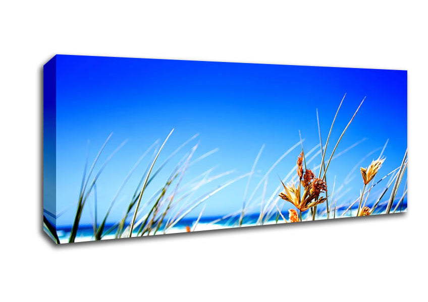 Picture of Clear Beach Sky Panoramic Canvas Wall Art