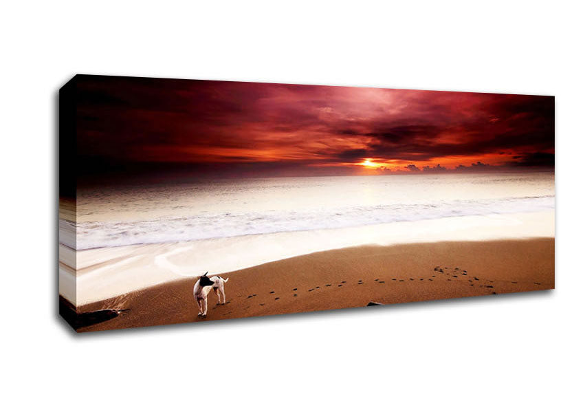 Picture of Dog On The Sunset Beach Panoramic Canvas Wall Art
