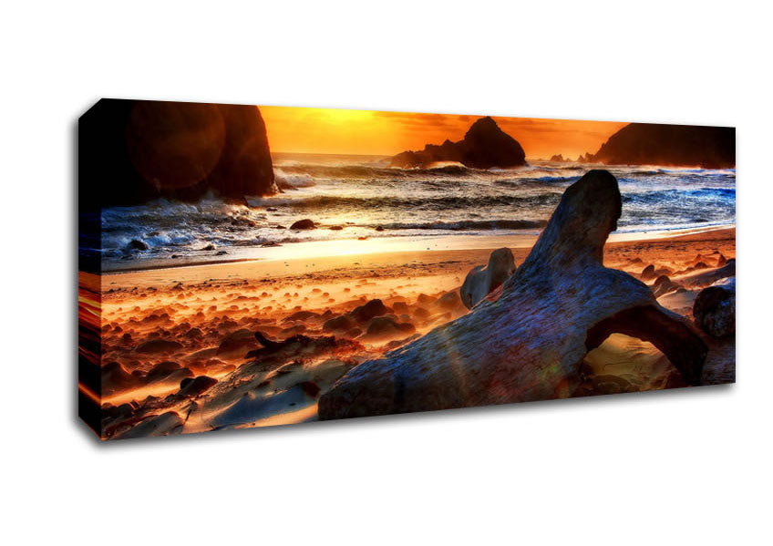 Picture of Driftwood At Sunset Panoramic Canvas Wall Art