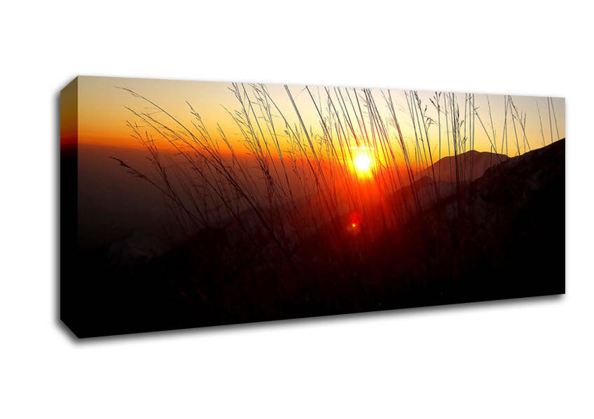 Picture of Dusk Through The Reeds Panoramic Canvas Wall Art