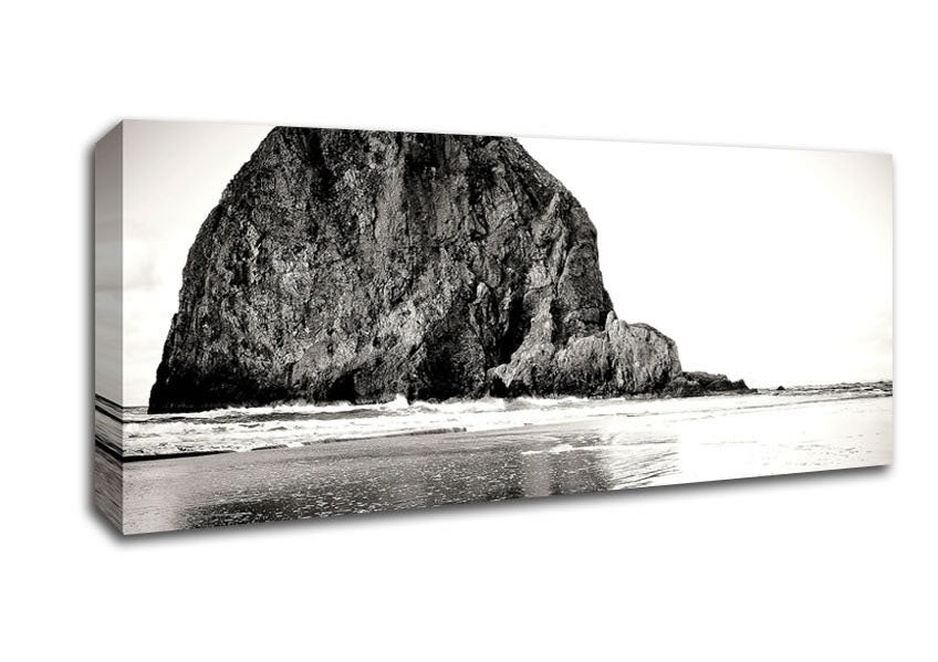 Picture of Rock In Black And White Panoramic Canvas Wall Art