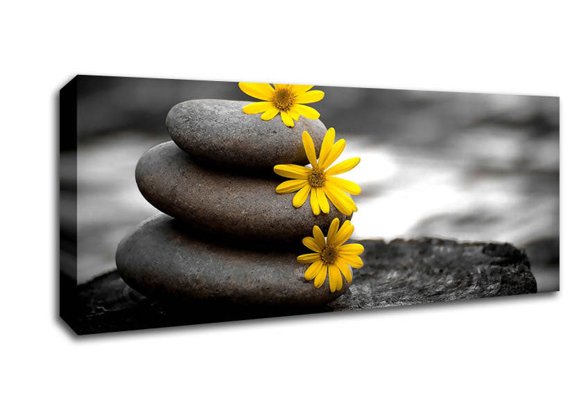Picture of Zen Flowered Stones Panoramic Canvas Wall Art