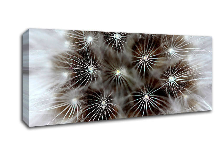 Picture of Macro Dandelion Panoramic Canvas Wall Art