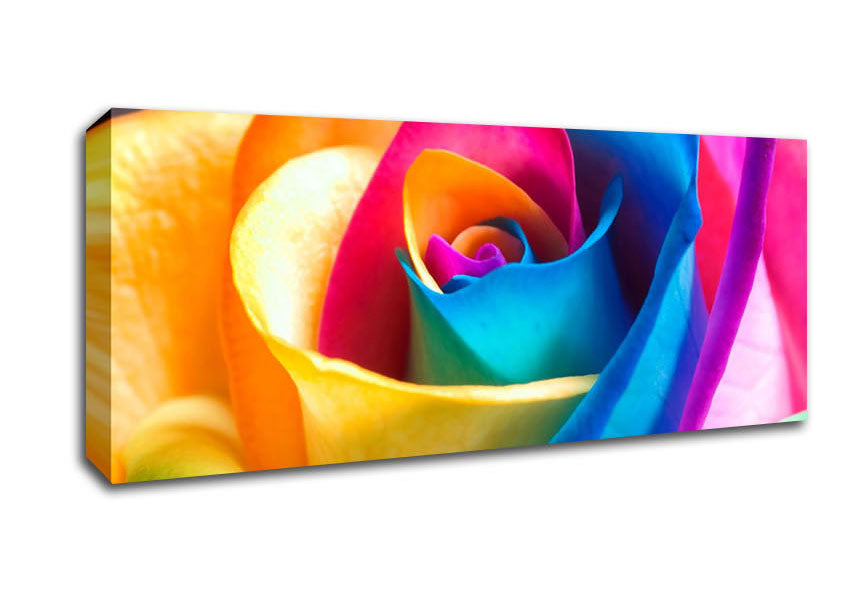 Picture of Rainbow Rose Panoramic Canvas Wall Art