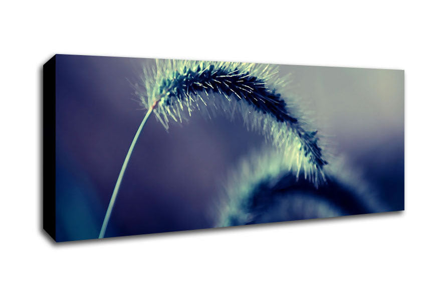 Picture of Spikelets Macro Panoramic Canvas Wall Art