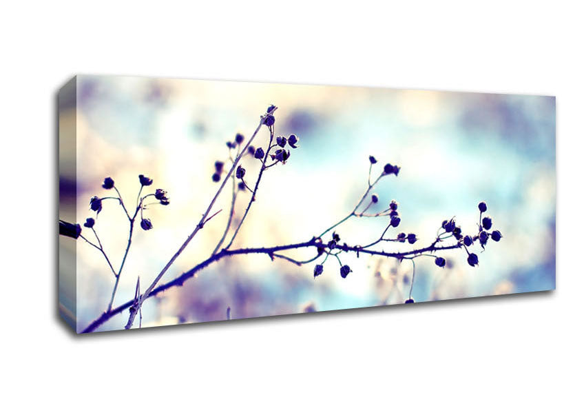 Picture of Spikey Twigs With Berries Panoramic Canvas Wall Art