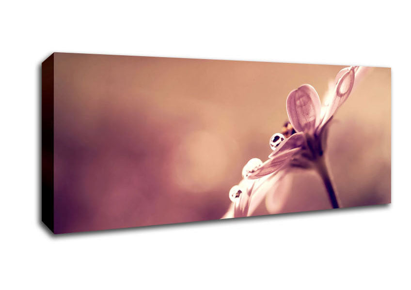 Picture of Stunning Dewdrop Haze Panoramic Canvas Wall Art