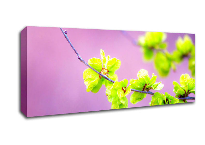 Picture of Small Green Flowers Panoramic Canvas Wall Art