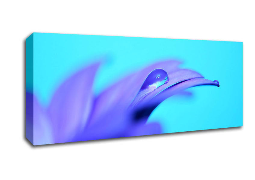 Picture of Purple Petals Panoramic Canvas Wall Art