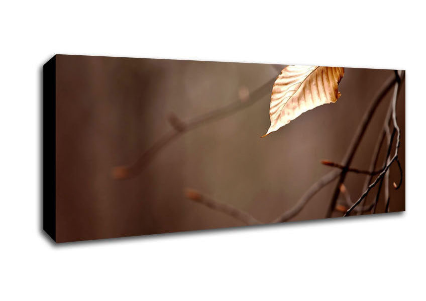 Picture of Leafless Panoramic Canvas Wall Art
