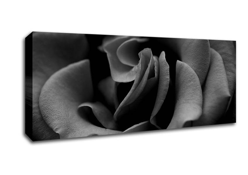 Picture of Rose B n W Panoramic Canvas Wall Art