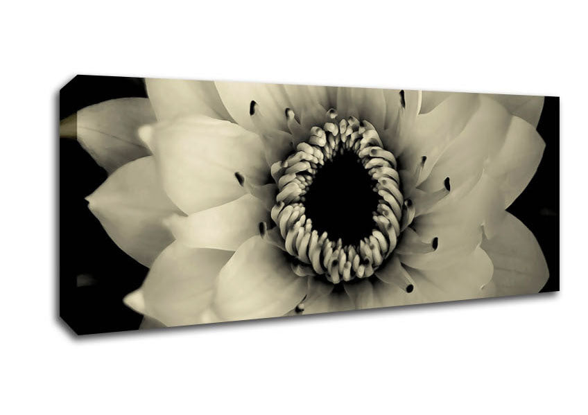 Picture of Tenderness Panoramic Canvas Wall Art