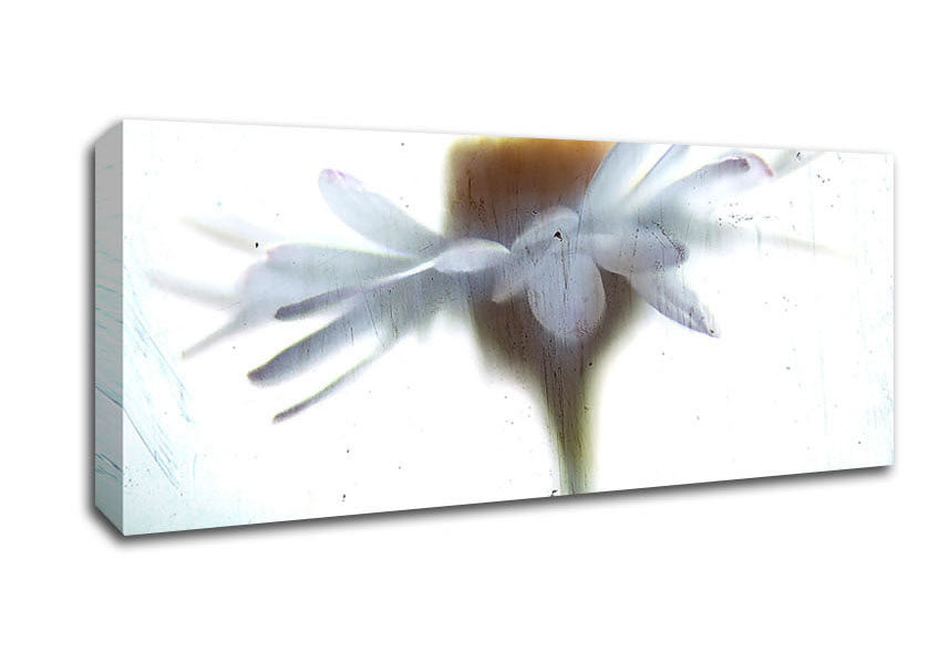 Picture of Vintage Daisy Panoramic Canvas Wall Art