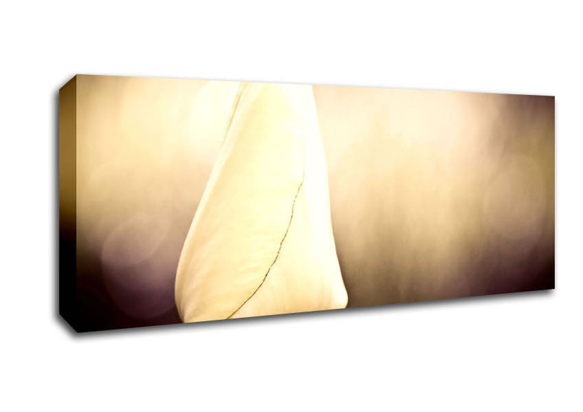 Picture of Tulip Vintage Panoramic Canvas Wall Art