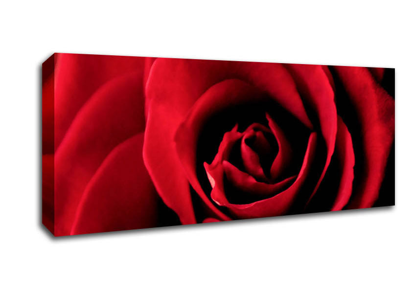 Picture of Rose Petal Beauty Red Panoramic Canvas Wall Art