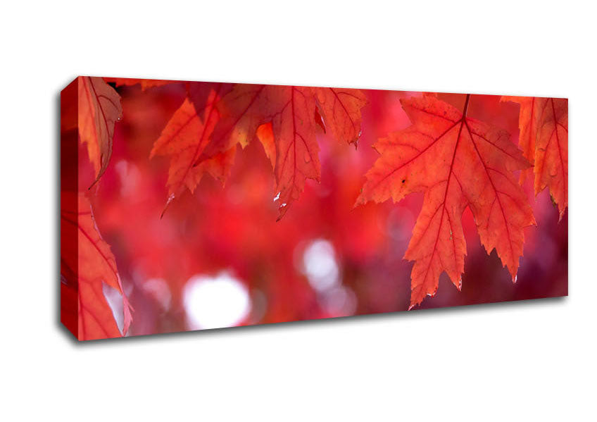 Picture of Red Autumn Panoramic Canvas Wall Art