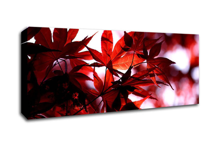 Picture of Spring Red Panoramic Canvas Wall Art