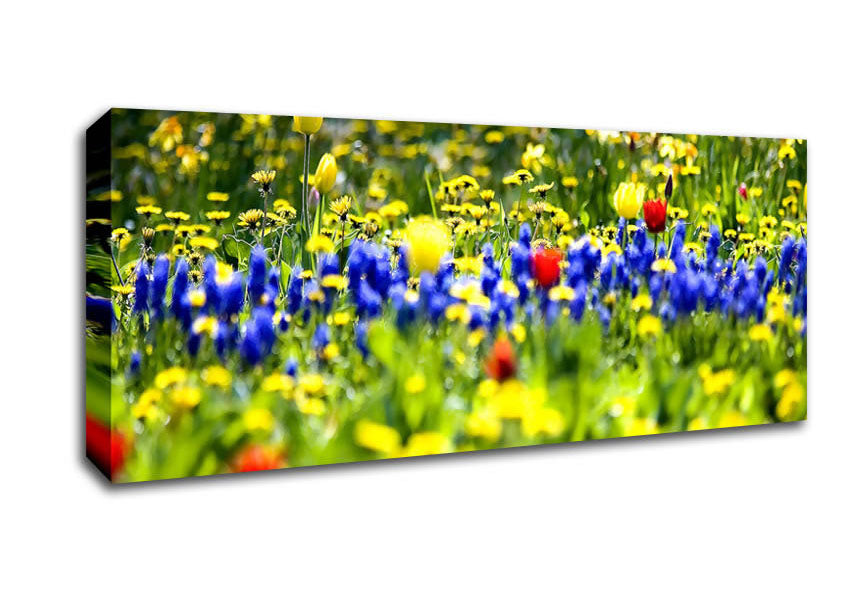 Picture of Spring Fling Panoramic Canvas Wall Art