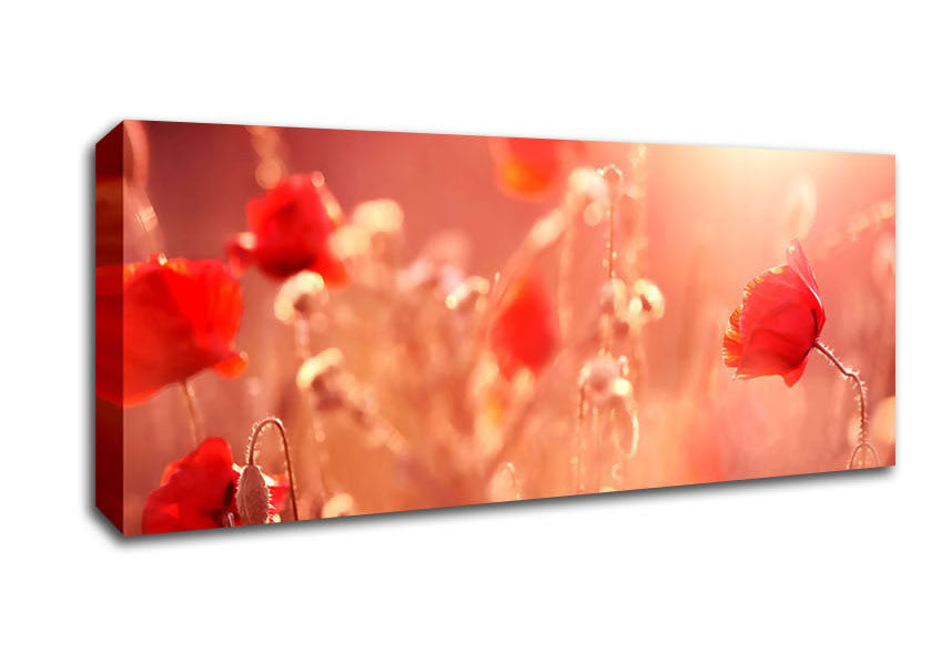 Picture of Summer Light Panoramic Canvas Wall Art