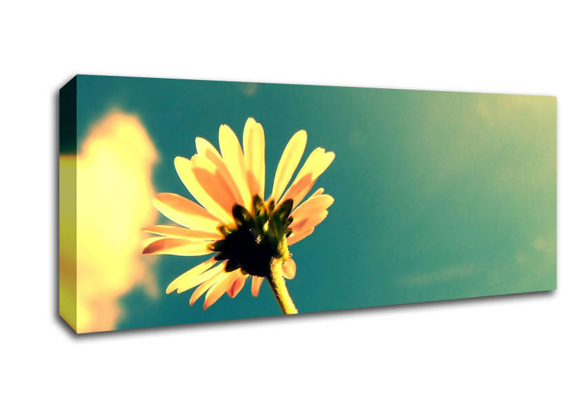 Picture of Summer Flower Retro Sunshine Panoramic Canvas Wall Art