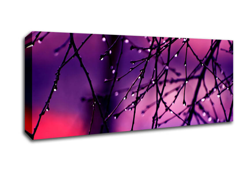 Picture of Wet Twigs Panoramic Canvas Wall Art