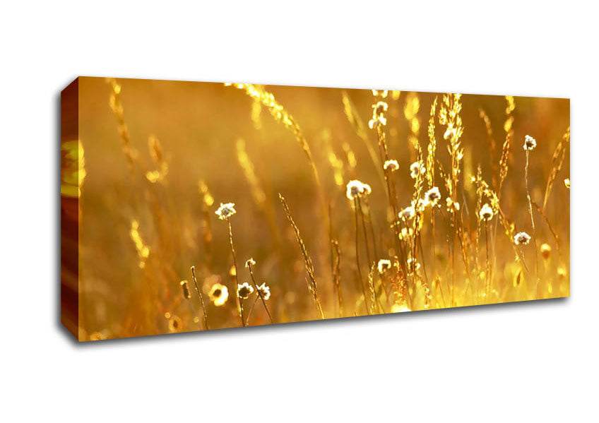 Picture of Summer Sunlight Over Field Panoramic Canvas Wall Art