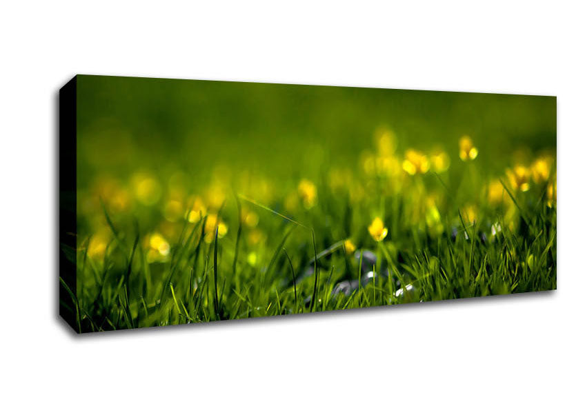 Picture of Summer Grass Panoramic Canvas Wall Art