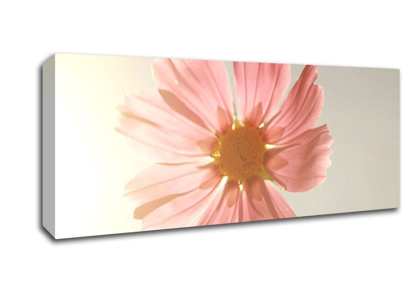 Picture of Summer Sun Panoramic Canvas Wall Art