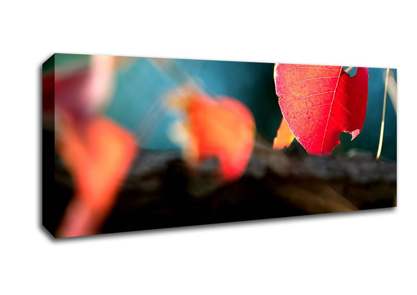 Picture of Red Leaves Macro Panoramic Canvas Wall Art