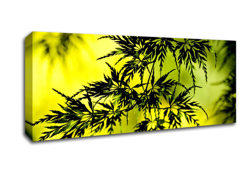 Picture of Summer Tree Leaves Panoramic Canvas Wall Art