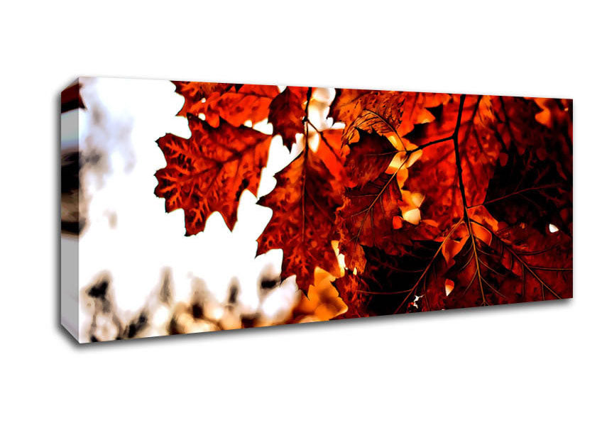Picture of Reddish Brown Leaves Panoramic Canvas Wall Art