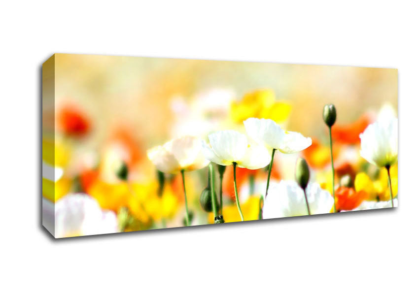 Picture of Colourful Summer Flowers Panoramic Canvas Wall Art