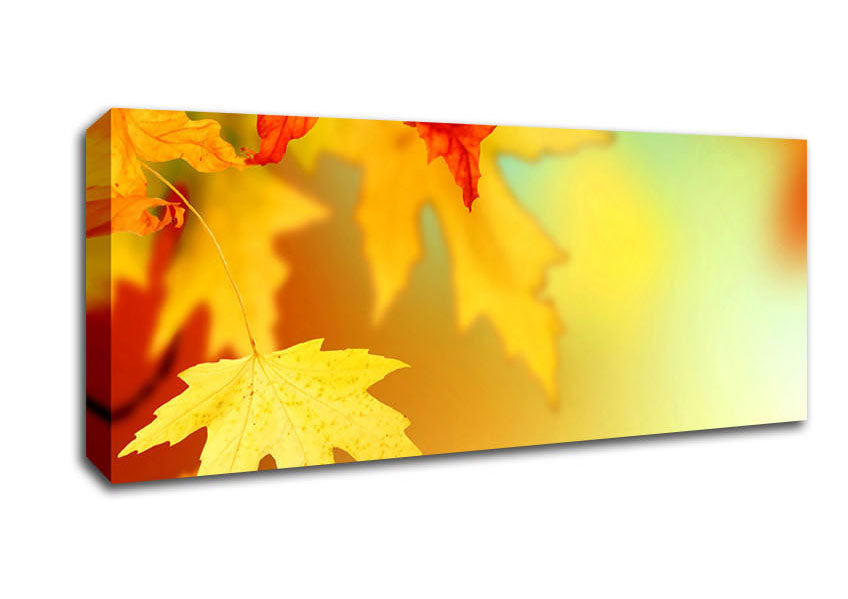 Picture of Yellow Autumn Leaves Macro Panoramic Canvas Wall Art