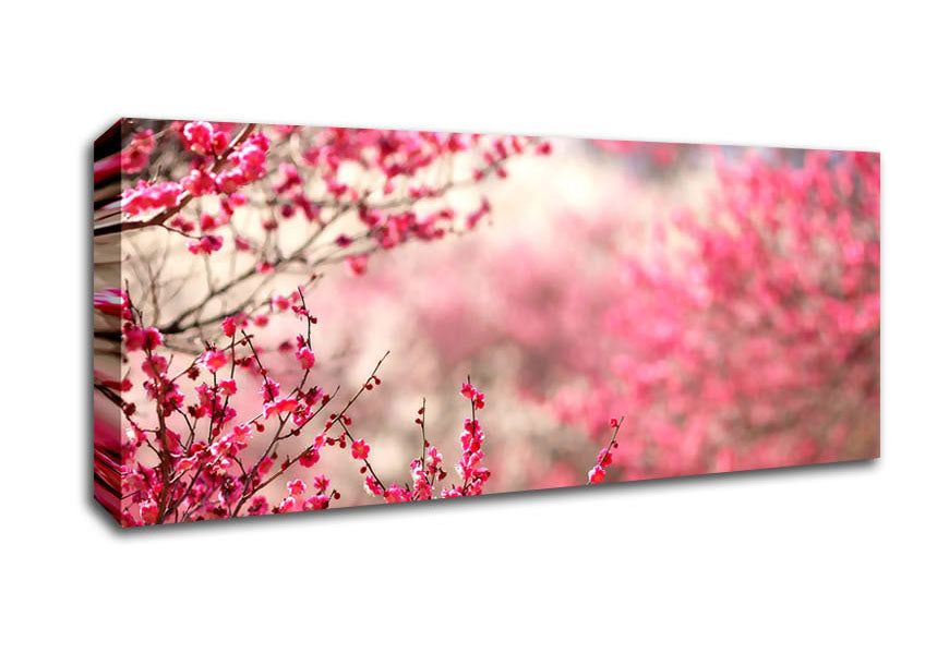 Picture of Spring Signs Panoramic Canvas Wall Art