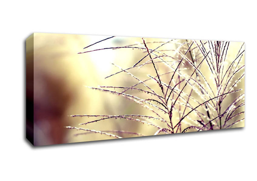 Picture of Wildflowers In The Sunlight Panoramic Canvas Wall Art