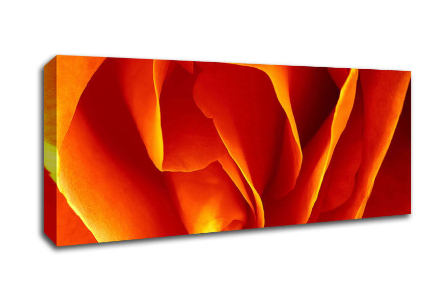 Picture of Orange Rose Petals Panoramic Canvas Wall Art